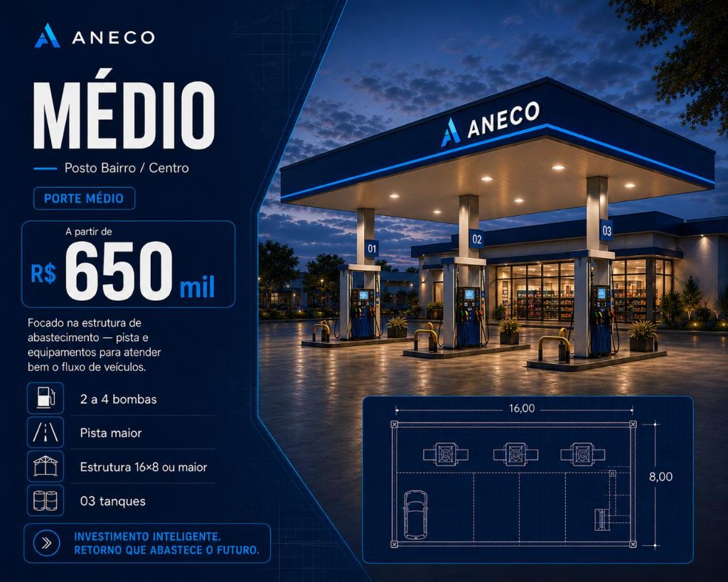 Infográfico Posto Médio — ANECO